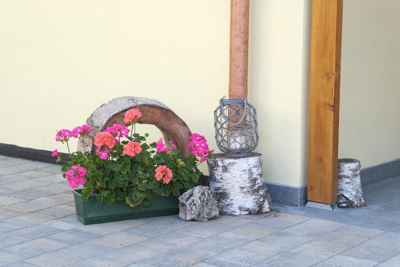 B&B Le Ciorciole Tesero Bagian luar foto