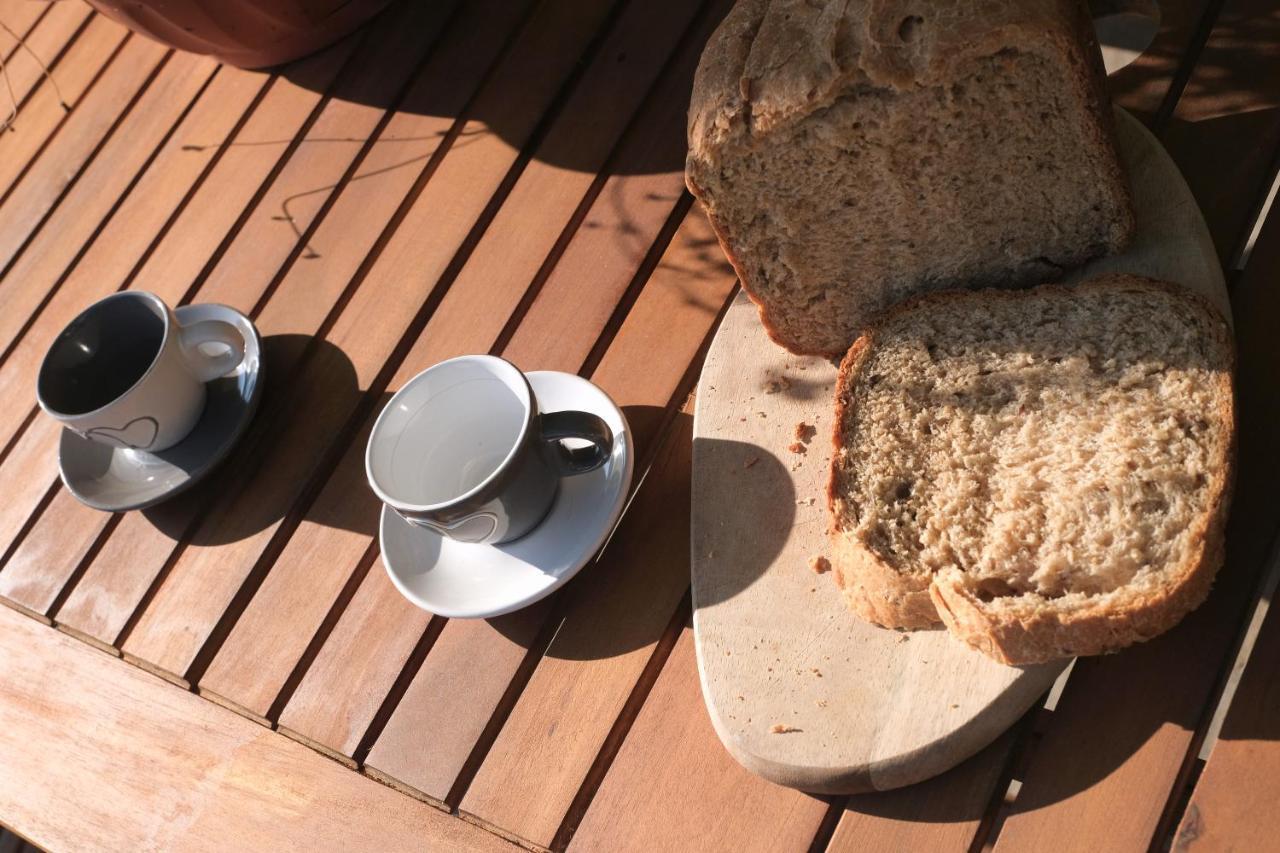 B&B Le Ciorciole Tesero Bagian luar foto
